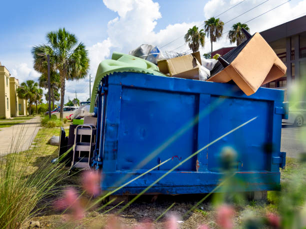 Best Furniture Removal  in Mount Ayr, IA